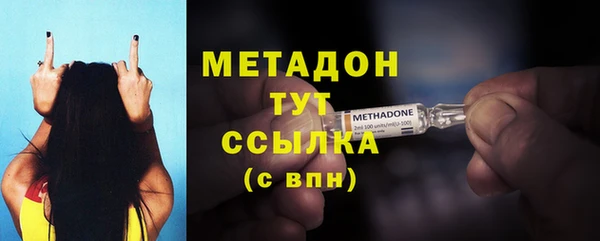 стаф Тайга