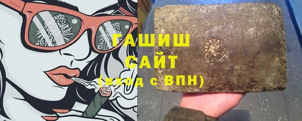 стаф Тайга