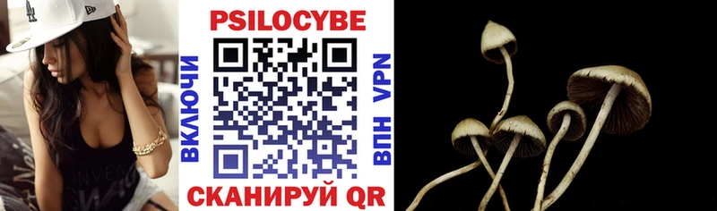 наркота  Ростов-на-Дону  Галлюциногенные грибы Psilocybe 