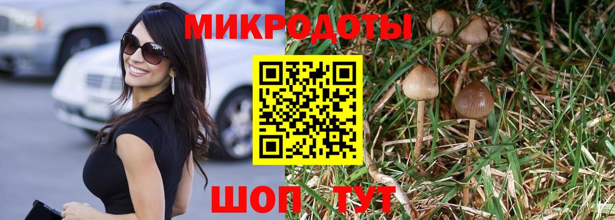 Псилоцибиновые грибы прущие грибы  Вход с VPN  даркнет сайт  Ростов-на-Дону 