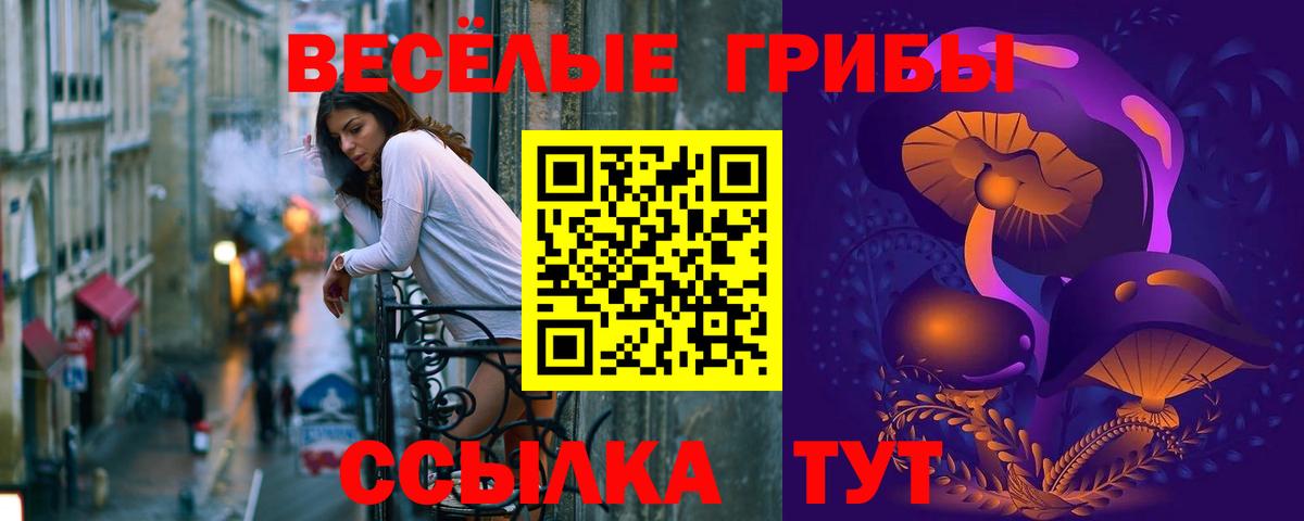 Псилоцибиновые грибы GOLDEN TEACHER  Ростов-на-Дону 