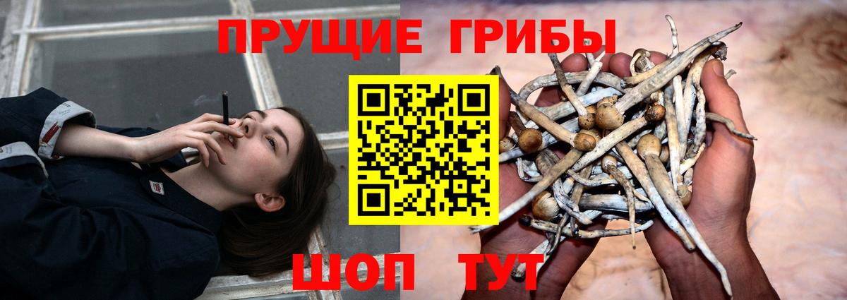 Псилоцибиновые грибы прущие грибы Ростов-на-Дону